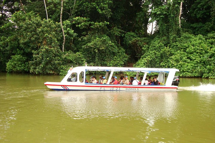 Sarapiqui River Cruise & Rainforest Haniging Bridge Nature Walk